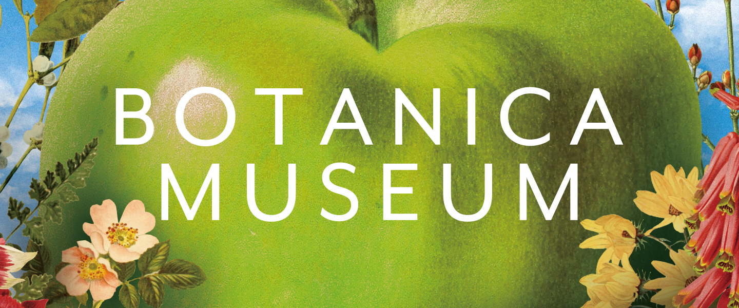 BOTANICA MUSEUM