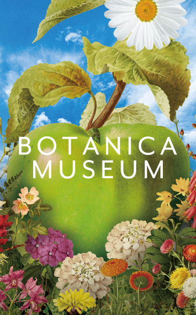 BOTANICA MUSEUM