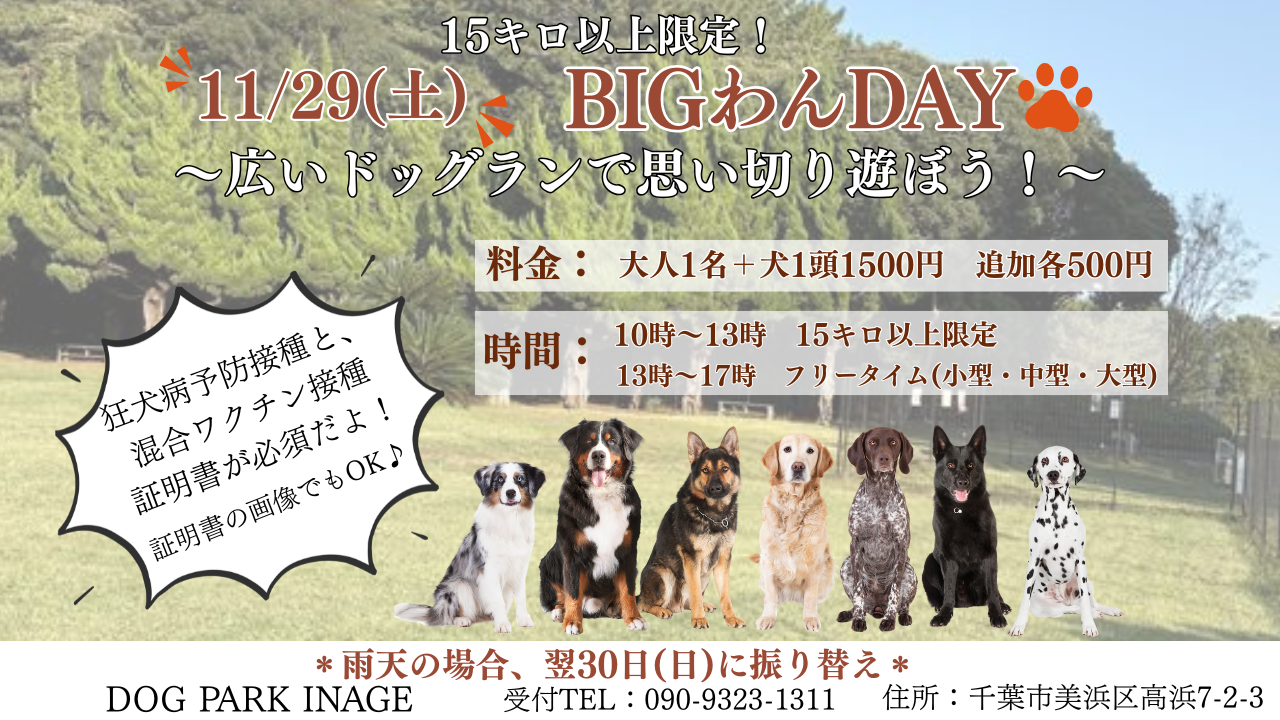 BIGわんDAY