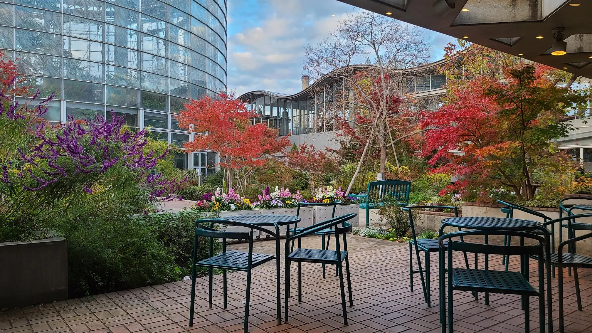 BOTANICA MUSEUM EN – 稲毛海浜公園｜SUNSET BEACH PARK INAGE｜いなげ
